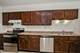 834 E Old Willow Unit 209, Prospect Heights, IL 60070