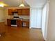 729 Serendipity, Aurora, IL 60504