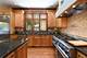 534 N Marion, Oak Park, IL 60302