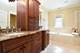 534 N Marion, Oak Park, IL 60302