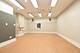 534 N Marion, Oak Park, IL 60302