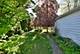4226 Grove, Stickney, IL 60402