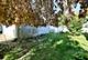 4226 Grove, Stickney, IL 60402