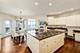 1187 Arborside, Aurora, IL 60502