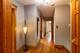 3416 Euclid, Berwyn, IL 60402