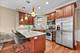 1308 W Granville Unit 1, Chicago, IL 60660