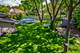 10S220 Alan, Naperville, IL 60564