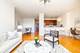233 E 13th Unit 2108, Chicago, IL 60605