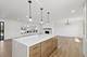 8135 W Rascher, Chicago, IL 60656