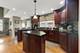 4528 Middaugh, Downers Grove, IL 60515