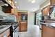 1729 Tina, Flossmoor, IL 60422