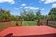 1729 Tina, Flossmoor, IL 60422