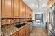 4170 N Marine Unit 11H, Chicago, IL 60613
