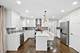 1524 Oswego, Naperville, IL 60540