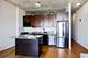 1720 S Michigan Unit 2115, Chicago, IL 60616