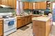 2123 W Cullerton, Chicago, IL 60608