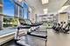 600 N Lake Shore Unit 3011, Chicago, IL 60611
