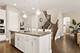 1454 Somerset, Barrington, IL 60010