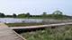 233 Lorraine, Bloomingdale, IL 60108