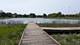 233 Lorraine, Bloomingdale, IL 60108