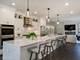 37 S Chestnut, Arlington Heights, IL 60005