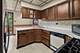 5325 W Berteau, Chicago, IL 60641