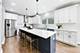 1133 Fortuna, Park Ridge, IL 60068