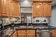 20533 S Graceland, Frankfort, IL 60423