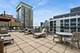 850 N Dewitt Unit 13H, Chicago, IL 60611
