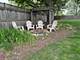 1311 N Richmond, Mchenry, IL 60050
