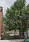 2444 S Kedzie, Chicago, IL 60623