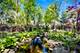 3029 Simpson, Evanston, IL 60201