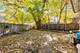 8129 S Cornell, Chicago, IL 60617