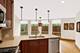 15 Manchester, Elmhurst, IL 60126