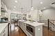 3532 N Kolmar, Chicago, IL 60641