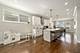 3532 N Kolmar, Chicago, IL 60641