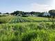 1369 Calamus, Grayslake, IL 60030