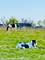 1369 Calamus, Grayslake, IL 60030