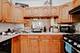 4133 W Melrose, Chicago, IL 60641