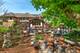 3204 Stonegate, Crystal Lake, IL 60012