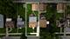 636 Union, Chicago Heights, IL 60411