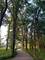 473 Delaware, Bolingbrook, IL 60440