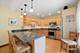 234 Franklin, River Forest, IL 60305