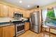 234 Franklin, River Forest, IL 60305