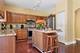 1195 Masters, Aurora, IL 60506