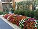 990 Sheridan, Highland Park, IL 60035