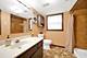 10732 S Meadow, Palos Hills, IL 60465