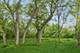 2629 Kingston, Northbrook, IL 60062