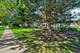 24038 W Walnut Unit 24038, Plainfield, IL 60585