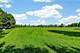 24038 W Walnut Unit 24038, Plainfield, IL 60585